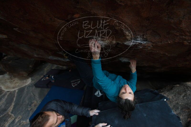 

Filename: SRM_20161229_1409381.jpg
Aperture: f/4.5
Shutter Speed: 1/250
Body: Canon EOS-1D Mark II
Lens: Canon EF 16-35mm f/2.8 L