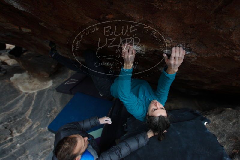 

Filename: SRM_20161229_1409400.jpg
Aperture: f/4.5
Shutter Speed: 1/250
Body: Canon EOS-1D Mark II
Lens: Canon EF 16-35mm f/2.8 L