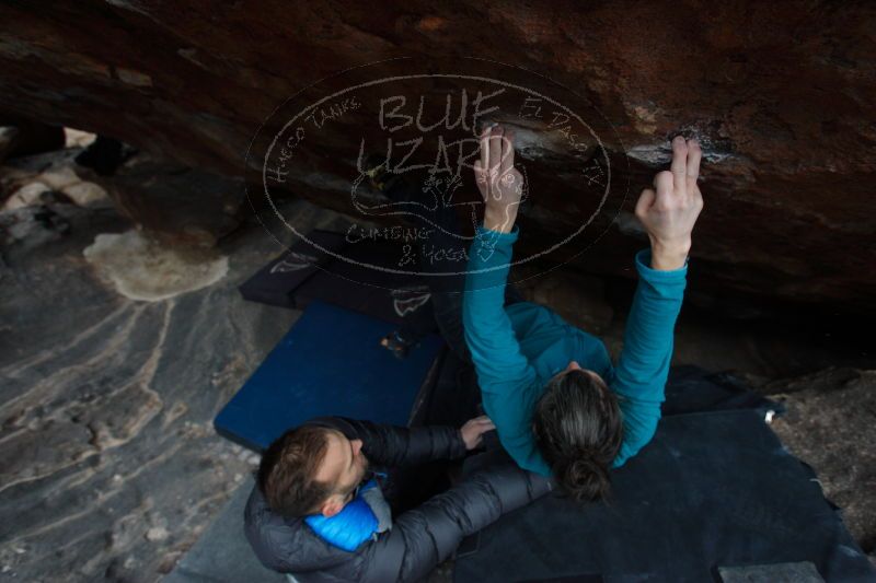 

Filename: SRM_20161229_1409411.jpg
Aperture: f/4.5
Shutter Speed: 1/250
Body: Canon EOS-1D Mark II
Lens: Canon EF 16-35mm f/2.8 L