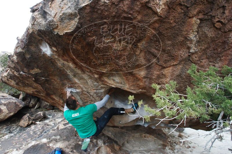 

Filename: SRM_20161229_1519330.jpg
Aperture: f/4.5
Shutter Speed: 1/320
Body: Canon EOS-1D Mark II
Lens: Canon EF 16-35mm f/2.8 L