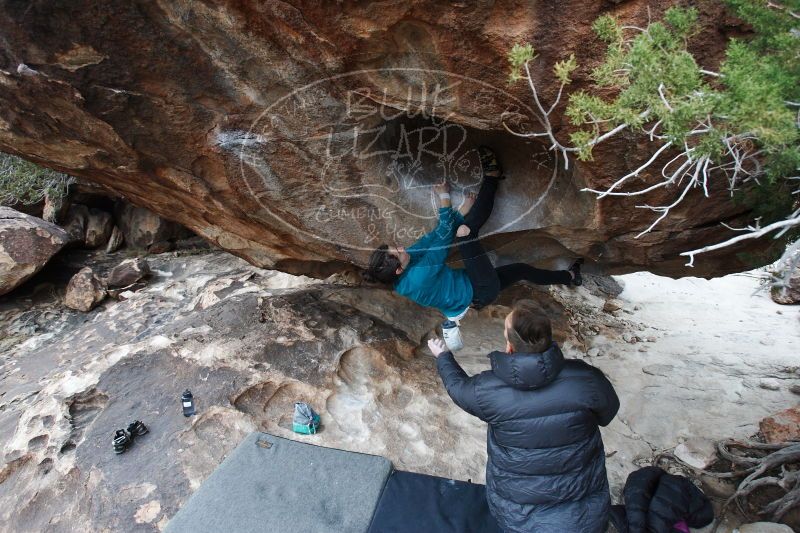 

Filename: SRM_20161229_1533450.jpg
Aperture: f/4.5
Shutter Speed: 1/320
Body: Canon EOS-1D Mark II
Lens: Canon EF 16-35mm f/2.8 L