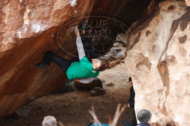 

Filename: SRM_20161229_1609250.jpg
Aperture: f/2.2
Shutter Speed: 1/500
Body: Canon EOS-1D Mark II
Lens: Canon EF 85mm f/1.2 L II