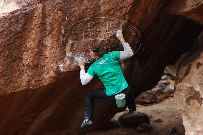 

Filename: SRM_20161229_1609550.jpg
Aperture: f/2.2
Shutter Speed: 1/800
Body: Canon EOS-1D Mark II
Lens: Canon EF 85mm f/1.2 L II