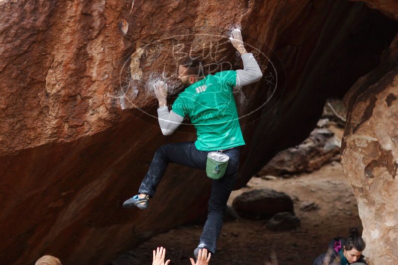 

Filename: SRM_20161229_1609554.jpg
Aperture: f/2.2
Shutter Speed: 1/800
Body: Canon EOS-1D Mark II
Lens: Canon EF 85mm f/1.2 L II