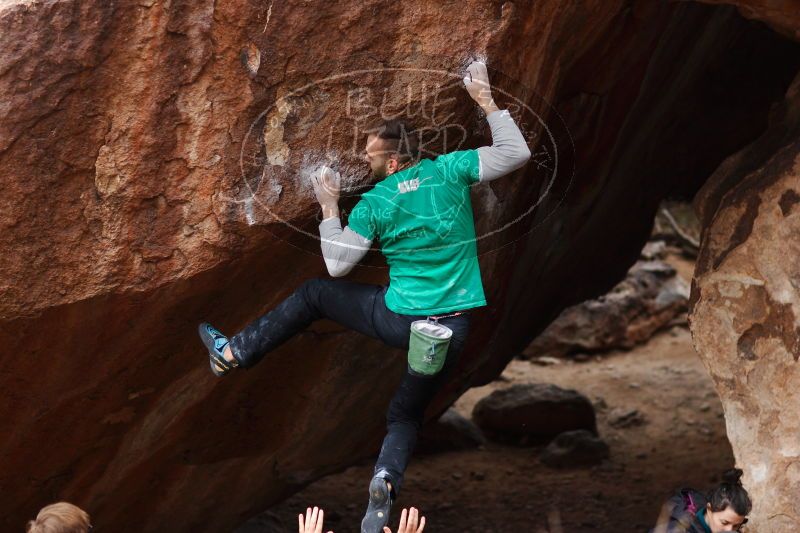 

Filename: SRM_20161229_1609556.jpg
Aperture: f/2.2
Shutter Speed: 1/800
Body: Canon EOS-1D Mark II
Lens: Canon EF 85mm f/1.2 L II