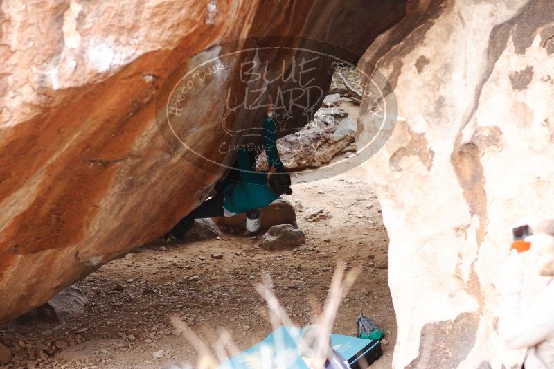 

Filename: SRM_20161229_1615250.jpg
Aperture: f/2.5
Shutter Speed: 1/320
Body: Canon EOS-1D Mark II
Lens: Canon EF 85mm f/1.2 L II