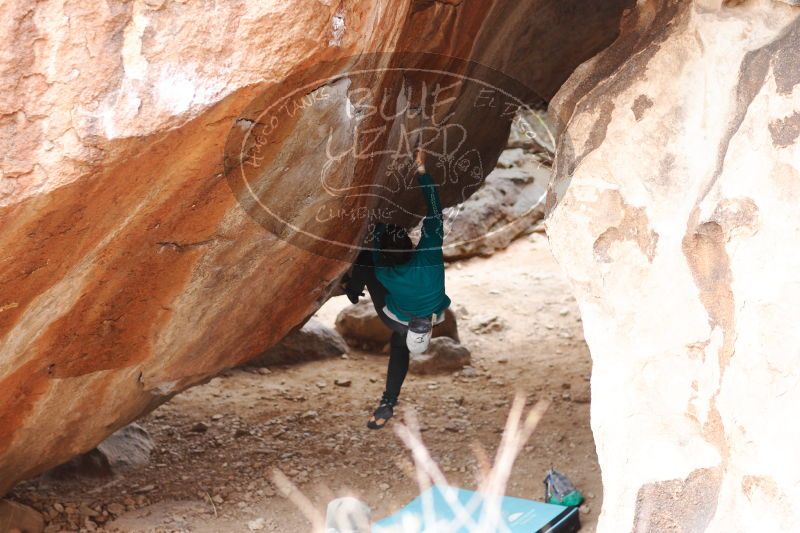 

Filename: SRM_20161229_1615310.jpg
Aperture: f/2.5
Shutter Speed: 1/250
Body: Canon EOS-1D Mark II
Lens: Canon EF 85mm f/1.2 L II