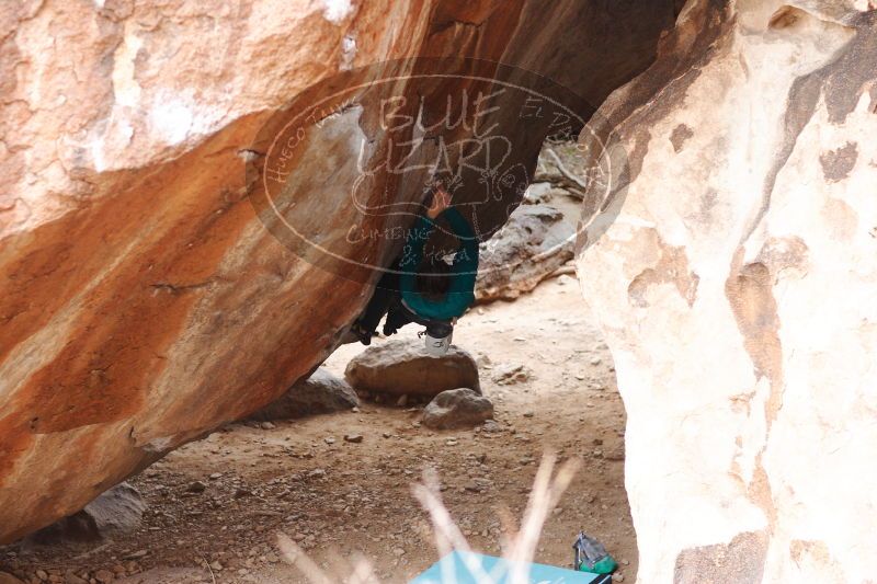 

Filename: SRM_20161229_1615320.jpg
Aperture: f/2.5
Shutter Speed: 1/320
Body: Canon EOS-1D Mark II
Lens: Canon EF 85mm f/1.2 L II