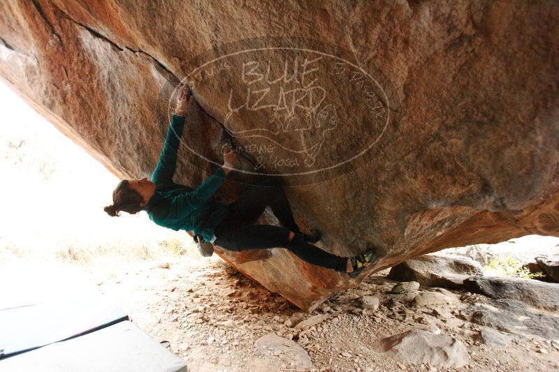 

Filename: SRM_20161229_1622171.jpg
Aperture: f/2.8
Shutter Speed: 1/160
Body: Canon EOS-1D Mark II
Lens: Canon EF 16-35mm f/2.8 L