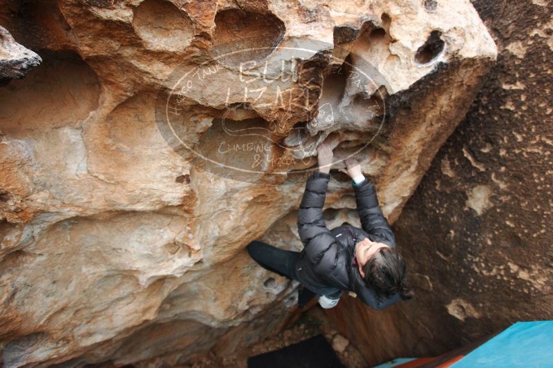 

Filename: SRM_20161229_1720510.jpg
Aperture: f/4.0
Shutter Speed: 1/250
Body: Canon EOS-1D Mark II
Lens: Canon EF 16-35mm f/2.8 L