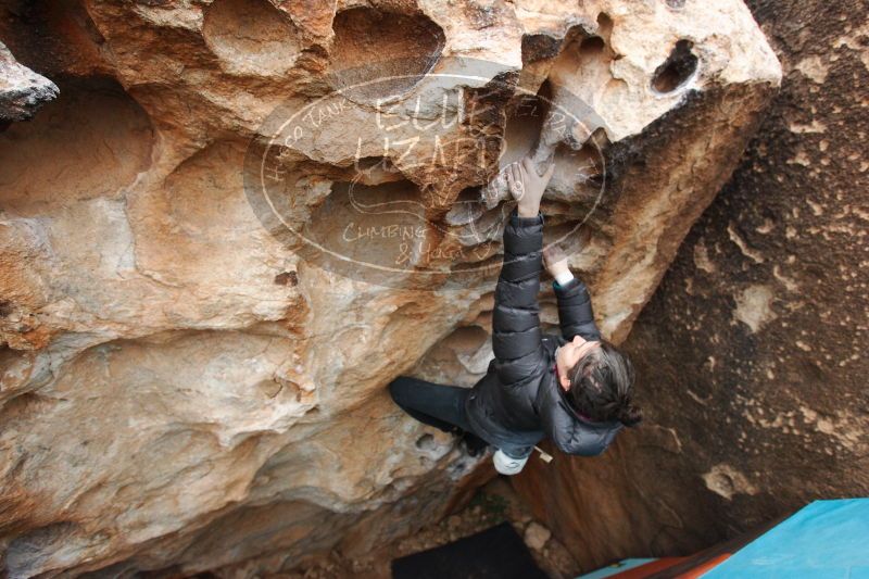 

Filename: SRM_20161229_1720530.jpg
Aperture: f/3.5
Shutter Speed: 1/250
Body: Canon EOS-1D Mark II
Lens: Canon EF 16-35mm f/2.8 L