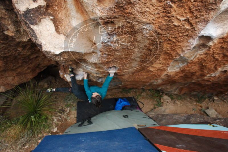 

Filename: SRM_20161229_1752271.jpg
Aperture: f/2.8
Shutter Speed: 1/200
Body: Canon EOS-1D Mark II
Lens: Canon EF 16-35mm f/2.8 L