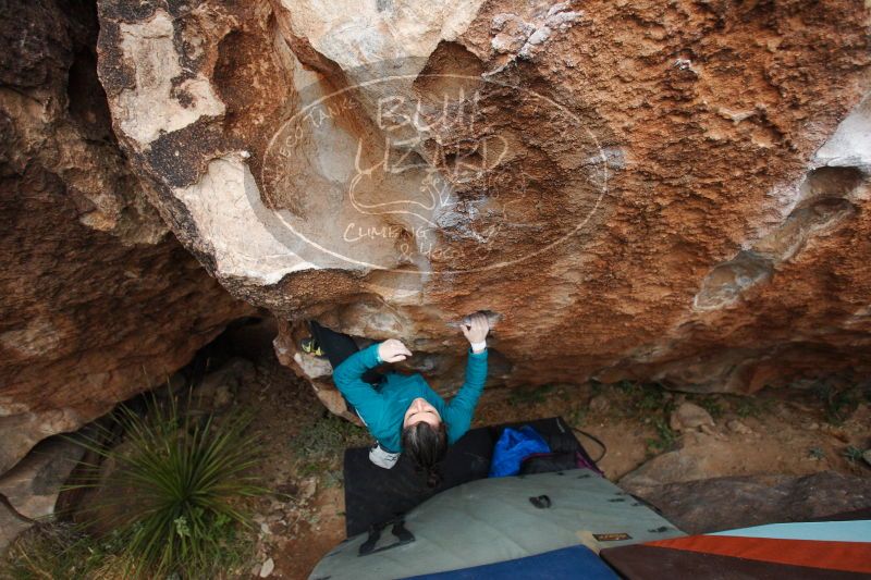 

Filename: SRM_20161229_1752320.jpg
Aperture: f/2.8
Shutter Speed: 1/250
Body: Canon EOS-1D Mark II
Lens: Canon EF 16-35mm f/2.8 L