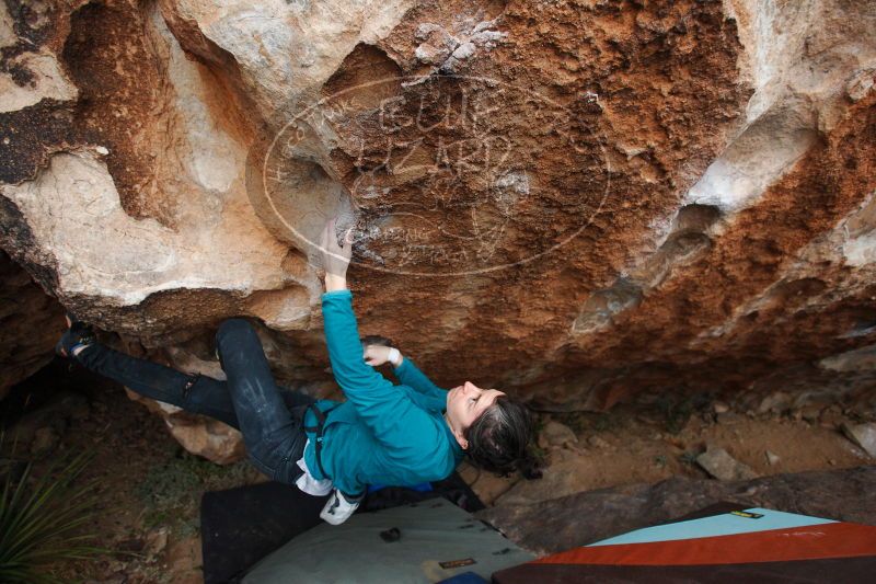 

Filename: SRM_20161229_1758300.jpg
Aperture: f/2.8
Shutter Speed: 1/250
Body: Canon EOS-1D Mark II
Lens: Canon EF 16-35mm f/2.8 L