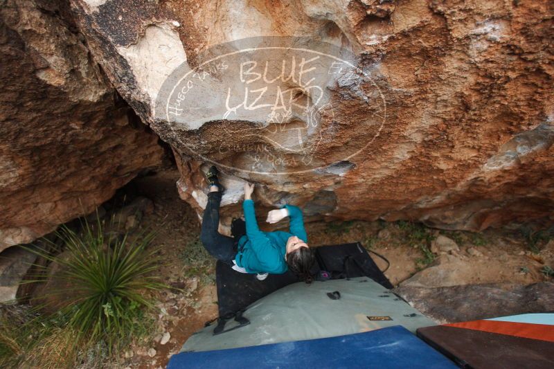 

Filename: SRM_20161229_1801350.jpg
Aperture: f/2.8
Shutter Speed: 1/160
Body: Canon EOS-1D Mark II
Lens: Canon EF 16-35mm f/2.8 L