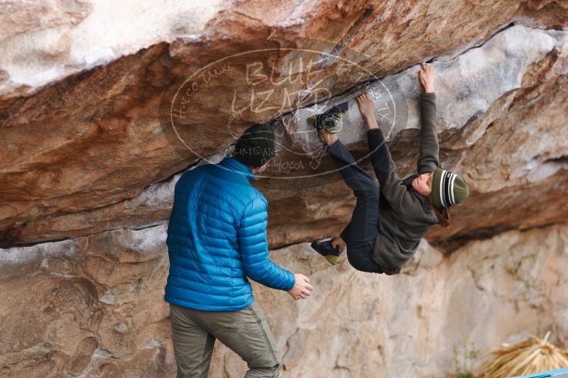 

Filename: SRM_20161229_1142552.jpg
Aperture: f/2.0
Shutter Speed: 1/500
Body: Canon EOS-1D Mark II
Lens: Canon EF 85mm f/1.2 L II