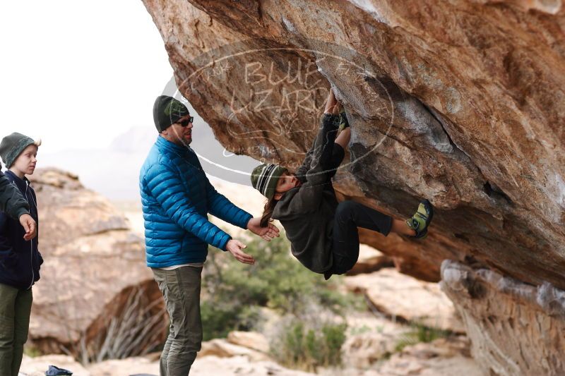 

Filename: SRM_20161229_1149350.jpg
Aperture: f/2.8
Shutter Speed: 1/500
Body: Canon EOS-1D Mark II
Lens: Canon EF 85mm f/1.2 L II