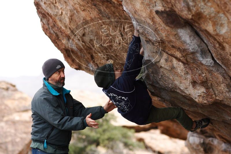 

Filename: SRM_20161229_1155070.jpg
Aperture: f/2.8
Shutter Speed: 1/400
Body: Canon EOS-1D Mark II
Lens: Canon EF 85mm f/1.2 L II