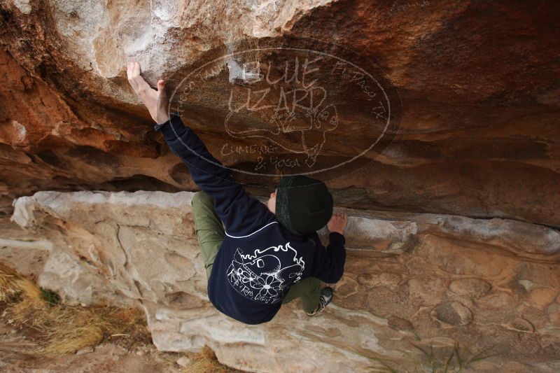 

Filename: SRM_20161229_1214341.jpg
Aperture: f/5.6
Shutter Speed: 1/400
Body: Canon EOS-1D Mark II
Lens: Canon EF 16-35mm f/2.8 L