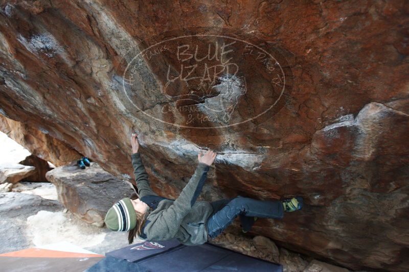 

Filename: SRM_20161229_1332360.jpg
Aperture: f/2.8
Shutter Speed: 1/200
Body: Canon EOS-1D Mark II
Lens: Canon EF 16-35mm f/2.8 L