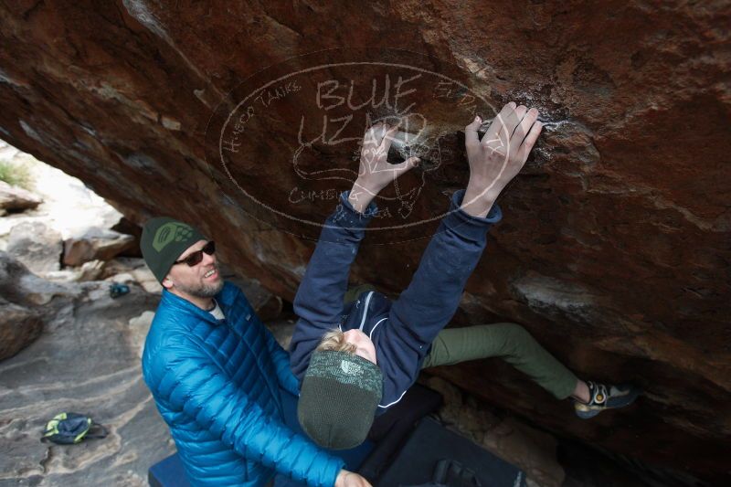 

Filename: SRM_20161229_1431181.jpg
Aperture: f/4.0
Shutter Speed: 1/250
Body: Canon EOS-1D Mark II
Lens: Canon EF 16-35mm f/2.8 L