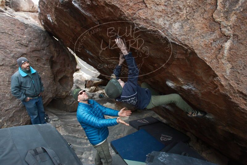 

Filename: SRM_20161229_1431250.jpg
Aperture: f/5.0
Shutter Speed: 1/250
Body: Canon EOS-1D Mark II
Lens: Canon EF 16-35mm f/2.8 L