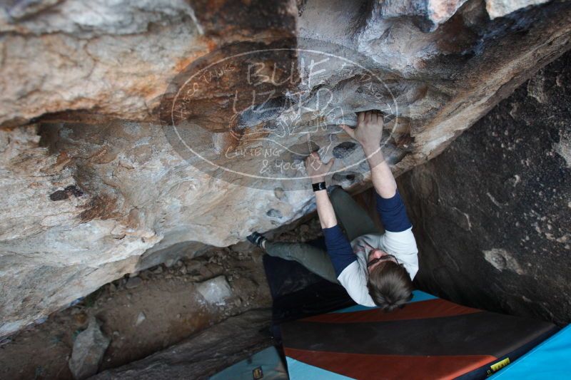 

Filename: SRM_20161229_1712022.jpg
Aperture: f/4.0
Shutter Speed: 1/250
Body: Canon EOS-1D Mark II
Lens: Canon EF 16-35mm f/2.8 L