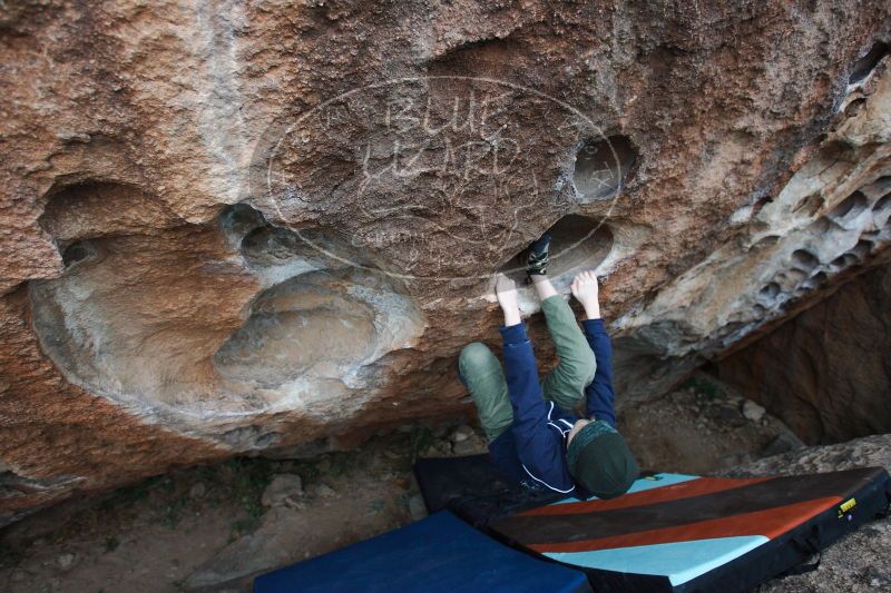 

Filename: SRM_20161229_1736410.jpg
Aperture: f/3.2
Shutter Speed: 1/250
Body: Canon EOS-1D Mark II
Lens: Canon EF 16-35mm f/2.8 L