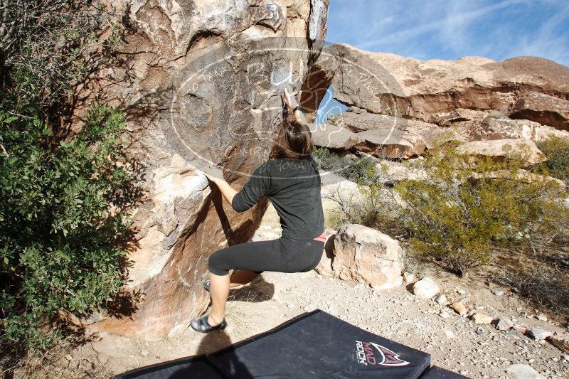 

Filename: SRM_20170112_1144531.jpg
Aperture: f/8.0
Shutter Speed: 1/320
Body: Canon EOS-1D Mark II
Lens: Canon EF 16-35mm f/2.8 L