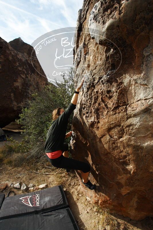 

Filename: SRM_20170112_1152440.jpg
Aperture: f/5.0
Shutter Speed: 1/320
Body: Canon EOS-1D Mark II
Lens: Canon EF 16-35mm f/2.8 L