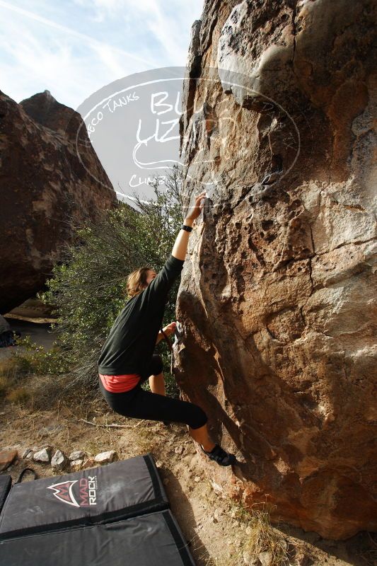 

Filename: SRM_20170112_1152441.jpg
Aperture: f/5.0
Shutter Speed: 1/320
Body: Canon EOS-1D Mark II
Lens: Canon EF 16-35mm f/2.8 L