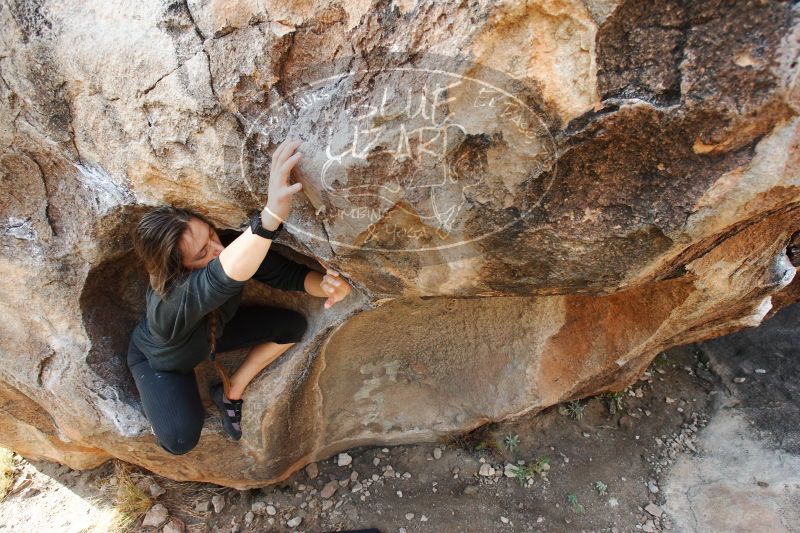 

Filename: SRM_20170112_1202070.jpg
Aperture: f/5.0
Shutter Speed: 1/320
Body: Canon EOS-1D Mark II
Lens: Canon EF 16-35mm f/2.8 L