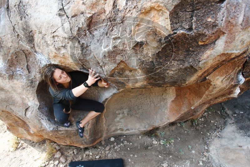 

Filename: SRM_20170112_1204260.jpg
Aperture: f/4.0
Shutter Speed: 1/320
Body: Canon EOS-1D Mark II
Lens: Canon EF 16-35mm f/2.8 L