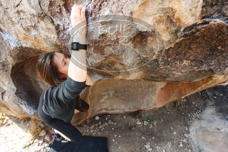 

Filename: SRM_20170112_1212011.jpg
Aperture: f/4.5
Shutter Speed: 1/320
Body: Canon EOS-1D Mark II
Lens: Canon EF 16-35mm f/2.8 L