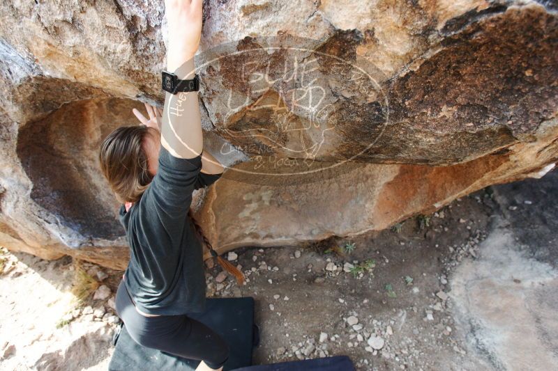 

Filename: SRM_20170112_1212012.jpg
Aperture: f/4.0
Shutter Speed: 1/320
Body: Canon EOS-1D Mark II
Lens: Canon EF 16-35mm f/2.8 L