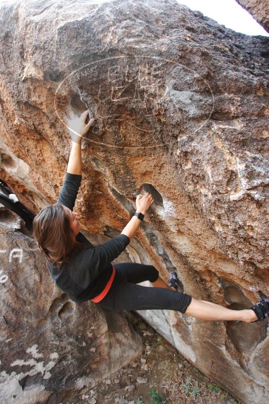 

Filename: SRM_20170112_1253130.jpg
Aperture: f/4.5
Shutter Speed: 1/250
Body: Canon EOS-1D Mark II
Lens: Canon EF 16-35mm f/2.8 L