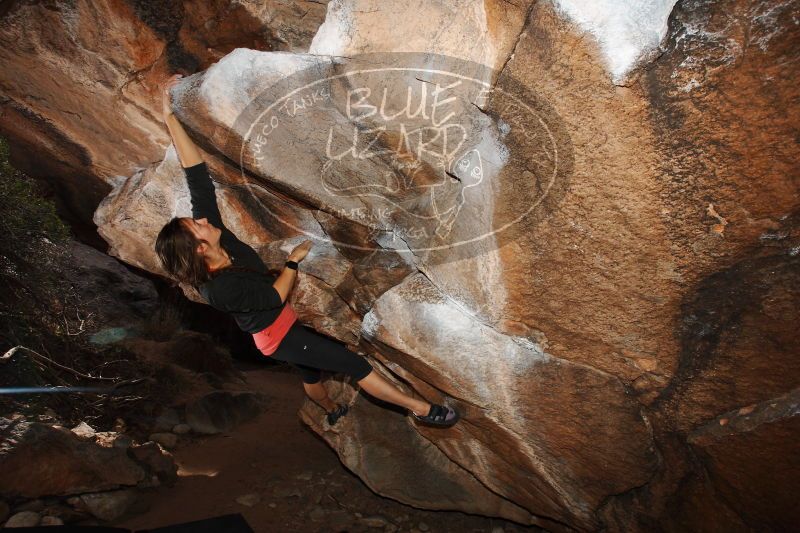 

Filename: SRM_20170112_1428120.jpg
Aperture: f/8.0
Shutter Speed: 1/250
Body: Canon EOS-1D Mark II
Lens: Canon EF 16-35mm f/2.8 L