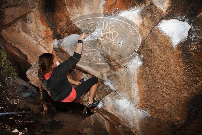 

Filename: SRM_20170112_1438250.jpg
Aperture: f/8.0
Shutter Speed: 1/250
Body: Canon EOS-1D Mark II
Lens: Canon EF 16-35mm f/2.8 L