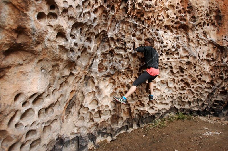 

Filename: SRM_20170112_1658430.jpg
Aperture: f/3.2
Shutter Speed: 1/125
Body: Canon EOS-1D Mark II
Lens: Canon EF 16-35mm f/2.8 L