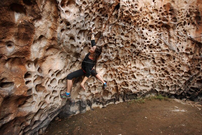 

Filename: SRM_20170112_1659170.jpg
Aperture: f/4.0
Shutter Speed: 1/100
Body: Canon EOS-1D Mark II
Lens: Canon EF 16-35mm f/2.8 L