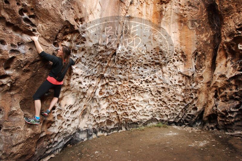 

Filename: SRM_20170112_1704080.jpg
Aperture: f/3.5
Shutter Speed: 1/100
Body: Canon EOS-1D Mark II
Lens: Canon EF 16-35mm f/2.8 L