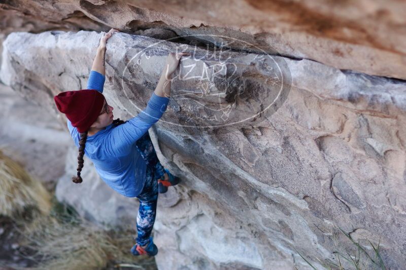 

Filename: SRM_20170103_1146340.jpg
Aperture: f/2.0
Shutter Speed: 1/500
Body: Canon EOS-1D Mark II
Lens: Canon EF 85mm f/1.2 L II