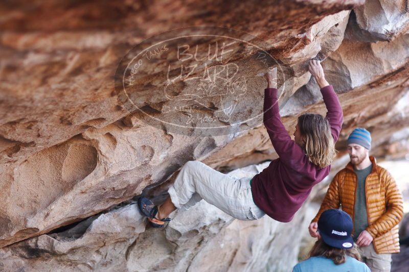 

Filename: SRM_20170103_1156110.jpg
Aperture: f/2.0
Shutter Speed: 1/640
Body: Canon EOS-1D Mark II
Lens: Canon EF 85mm f/1.2 L II