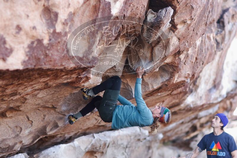 

Filename: SRM_20170103_1159170.jpg
Aperture: f/2.0
Shutter Speed: 1/400
Body: Canon EOS-1D Mark II
Lens: Canon EF 85mm f/1.2 L II