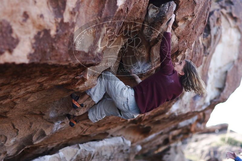 

Filename: SRM_20170103_1201190.jpg
Aperture: f/2.0
Shutter Speed: 1/1600
Body: Canon EOS-1D Mark II
Lens: Canon EF 85mm f/1.2 L II