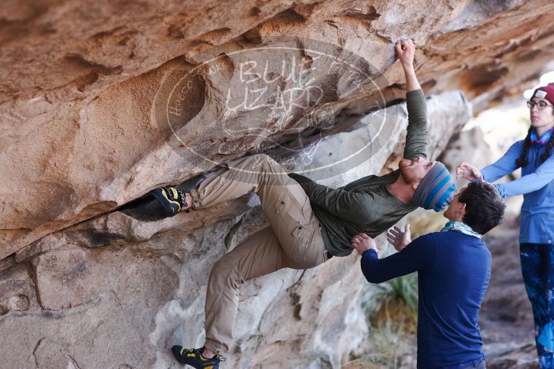 

Filename: SRM_20170103_1204101.jpg
Aperture: f/2.5
Shutter Speed: 1/400
Body: Canon EOS-1D Mark II
Lens: Canon EF 85mm f/1.2 L II