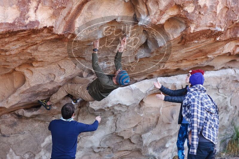 

Filename: SRM_20170103_1210130.jpg
Aperture: f/2.8
Shutter Speed: 1/400
Body: Canon EOS-1D Mark II
Lens: Canon EF 85mm f/1.2 L II