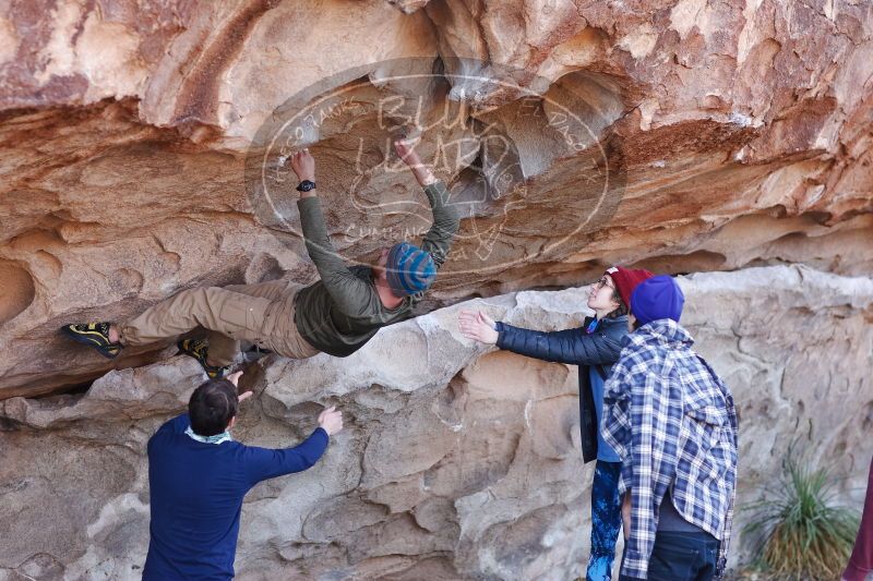 

Filename: SRM_20170103_1210172.jpg
Aperture: f/2.8
Shutter Speed: 1/400
Body: Canon EOS-1D Mark II
Lens: Canon EF 85mm f/1.2 L II