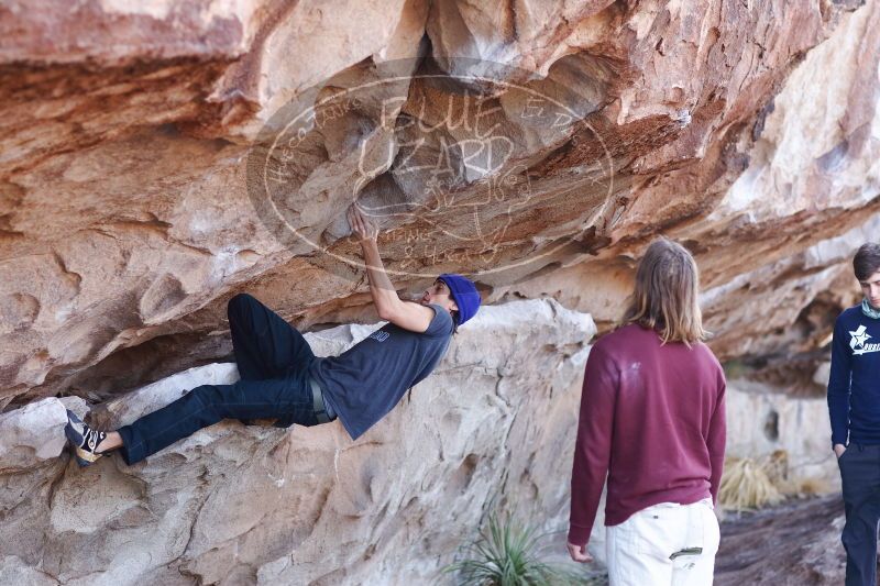 

Filename: SRM_20170103_1214400.jpg
Aperture: f/2.8
Shutter Speed: 1/400
Body: Canon EOS-1D Mark II
Lens: Canon EF 85mm f/1.2 L II