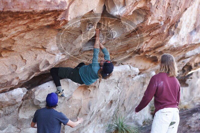 

Filename: SRM_20170103_1220020.jpg
Aperture: f/2.8
Shutter Speed: 1/400
Body: Canon EOS-1D Mark II
Lens: Canon EF 85mm f/1.2 L II